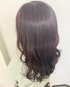 チェリーピンクラベンダー - Viage掲載