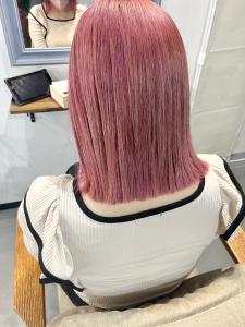 ラベンダーピンク - Sherry掲載