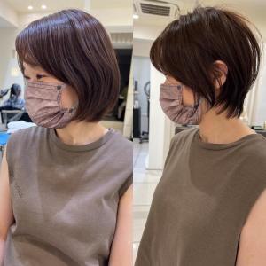 シフォンショート - marju銀座掲載