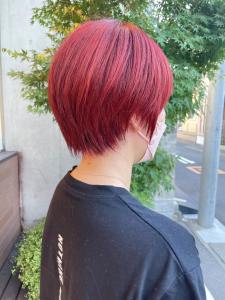 コンパクトショートにブリーチでレッドピンクに - EMU international 春日部本店掲載