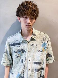 プードルライトマッシュ - curro 六本木掲載