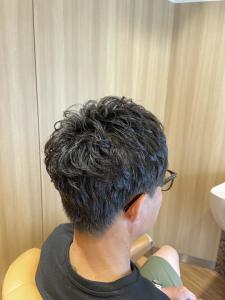 ダンディーパーマ - ヘアーモードキクチ 三越前店掲載
