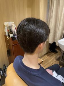 日本橋ナチュラル - ヘアーモードキクチ 三越前店掲載