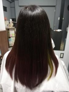 イヤリングカラー - chancello HAIR-creation掲載