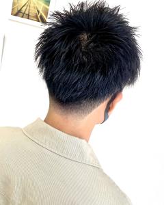 ソフトフェード - Salon Hollywood掲載