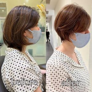 ■シフォンショート - marju銀座掲載