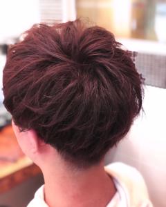 レッドブラウン - HAIR MAKE FACTORY APNEK掲載