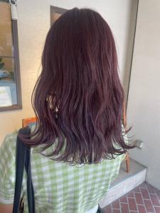 【Luccica】ピンクラベンダー - Luccica hair&spa掲載