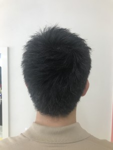 スポーティショート - 美容室Stella掲載