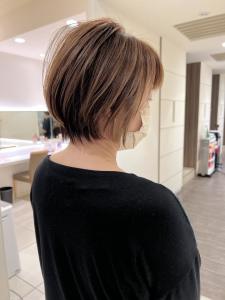 秋冬シフォンショート - marju銀座掲載