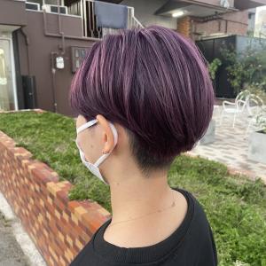 パープルカラー - Seemly Hair salon+spa掲載