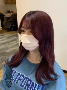 韓国風ヘア　バイオレットカラー　ヨシンモリ - ROCA by teatro hair salon掲載