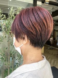 ハンサムショート - Luana hair掲載