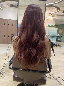 【Euphoria】 - Euphoria 銀座本店 Smart Salon【ユーフォリア】掲載