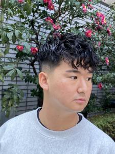 スペインカール　ダウンバング　社会人野球　髪型 - ドルクス日本橋掲載