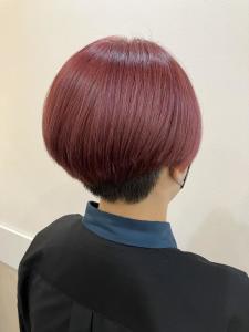 ラベンダーピンク - K:R鶴川掲載