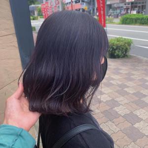 ラベンダーアッシュ♪ - soin de brace calme 西中島店掲載