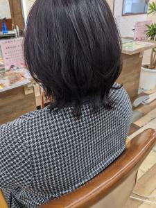 ボブウルフ - エイムヘアメイク 舟入店掲載