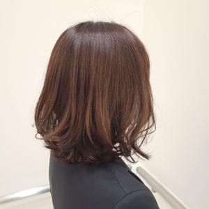 大人女子石田ゆり子風♪ハイライトのお値段はお問い合わせ下さい - BILEC掲載