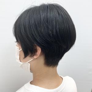 ショート - Speed GINZA掲載