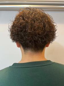 束感　プードルパーマ　ツーブロックマッシュ - MEN'S SALON alfRed 瑞穂店掲載