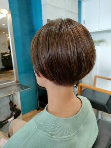 hair salon girasol - hair salon girasol掲載