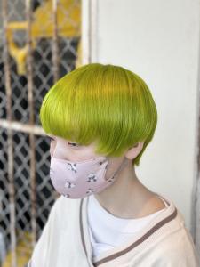 ライムグリーン - ALEXANDRE OF COLORS MORINOSATO掲載