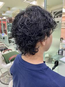 ウルフ×ツイスパ - HAIR & MAKE EARTH 高田馬場店掲載