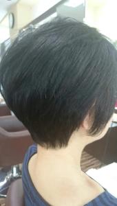 Heart too Heart 西嶋 - Heart too Heart掲載