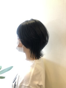 ショートウルフ - anon掲載