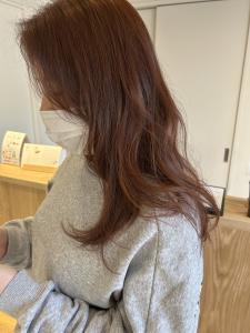 オレンジベージュ - トリート ヘアデザイン船堀店掲載