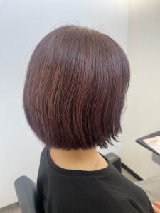 Hair Salon for D - Hair Salon for D掲載
