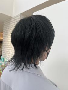 ウルフカット・イルミナでつくるブルーブラック - Ash 十日市場店掲載