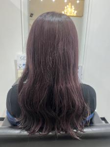 Hair Salon for D - Hair Salon for D掲載