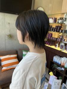 ショートウルフ - EMU international 春日部本店掲載