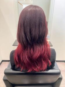 Hair Salon for D style - Hair Salon for D掲載