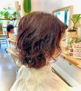 大人クルクルフワフワカール - MIENE Hair【髪質改善 × 本格エイジングケア専門】掲載