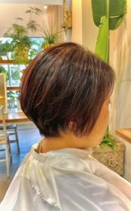 ふんわり艶髪ショート - MIENE Hair【髪質改善 × 本格エイジングケア専門】掲載