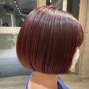 【三鷹　RISK 大橋佳菜子】ミニボブ×ローズカラー - HAIR DESIGN RISK掲載