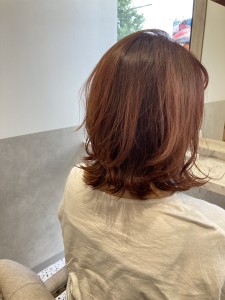 ウルフボブ！ - 全席個室型美容室 GALLARIA Elegante各務原店掲載