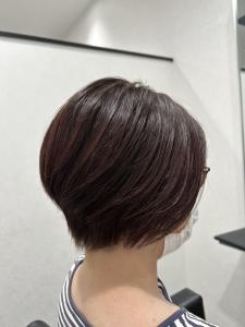 Second × Style - 全席半個室サロン Second掲載