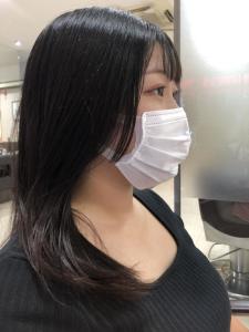 髪質改善トリートメント - crop-es茅ヶ崎掲載