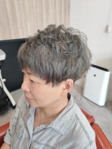 グレイヘア　ショート