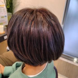 パープルショート - K:R鶴川掲載