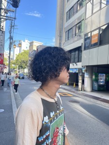 プードルパーマ - HAIR & MAKE EARTH 栄店掲載