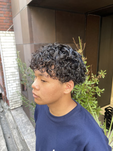プードルパーマ - HAIR & MAKE EARTH 栄店掲載