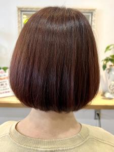 秋色カラー先取り！/ミニボブスタイル - MIENE Hair【髪質改善 × 本格エイジングケア専門】掲載