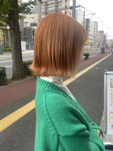 アプリコットベージュ - PROGRESS　フレスポ富沢店掲載