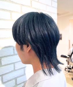 ウルフヘア/ブルー/ブリーチ - Ash 十日市場店掲載