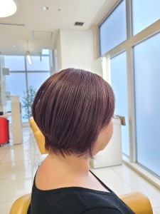 秋香るほんのりパープルカラー - BILEC掲載